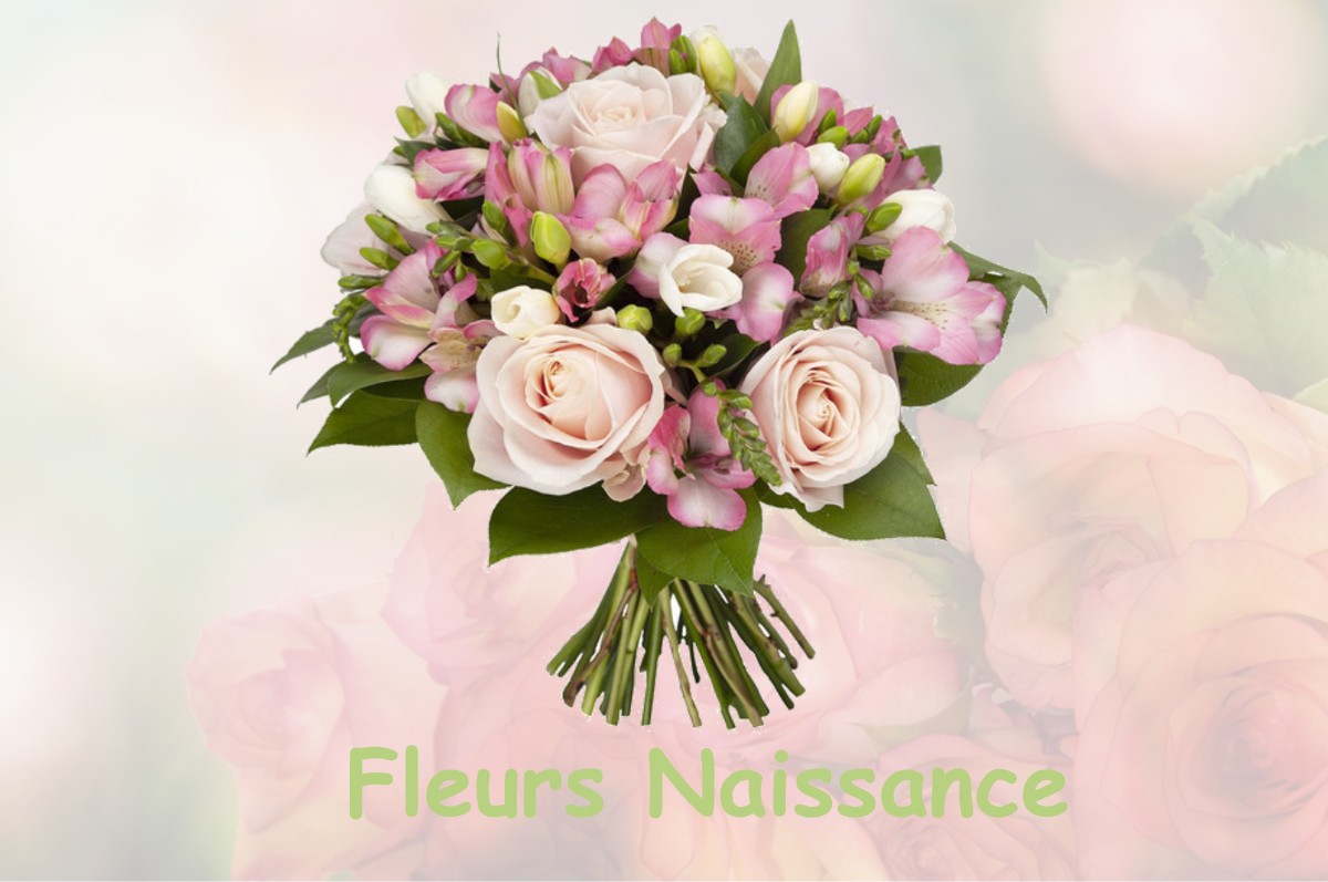 fleurs naissance OULLES