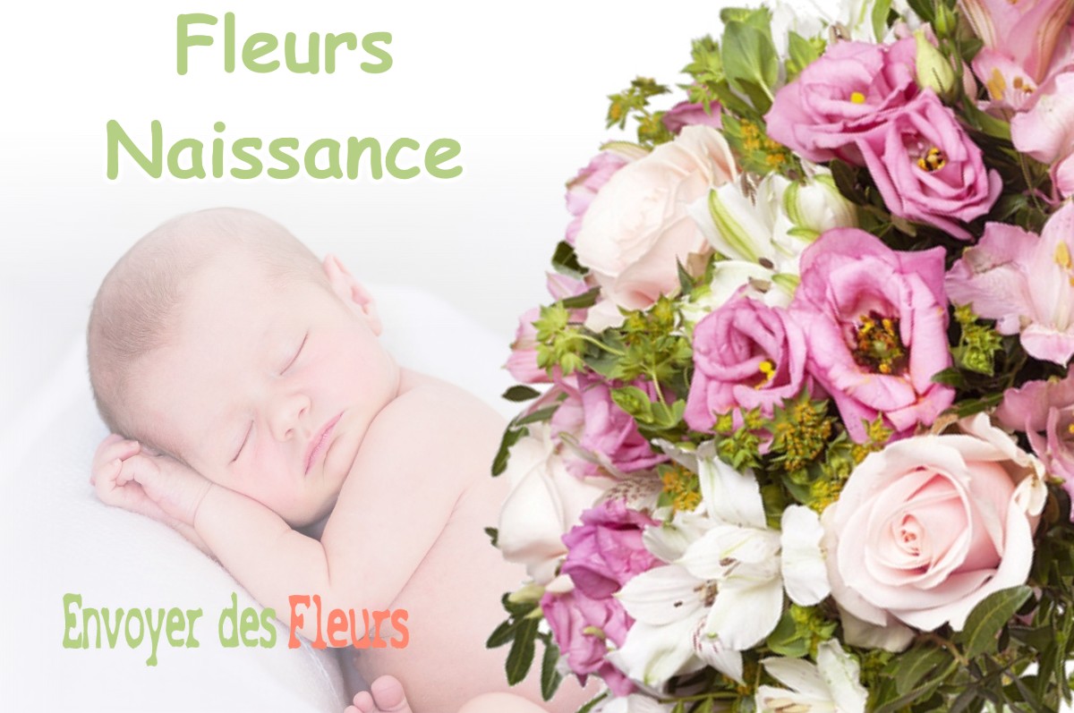 lIVRAISON FLEURS NAISSANCE à OULLES